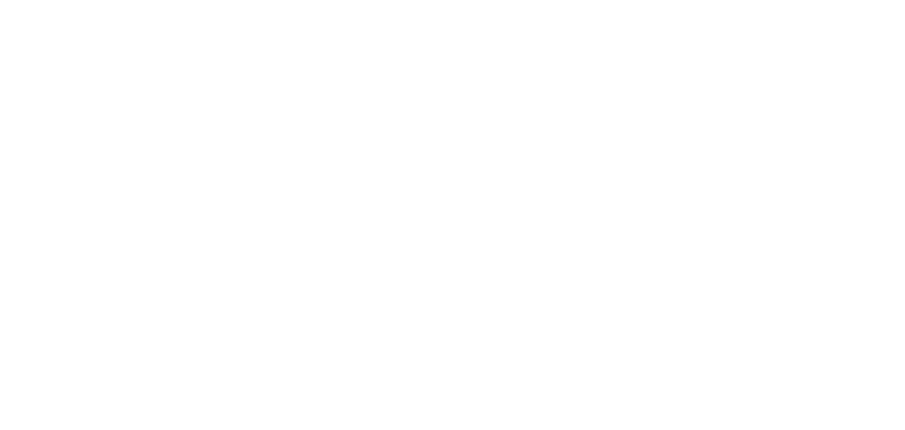 Nowplast logo